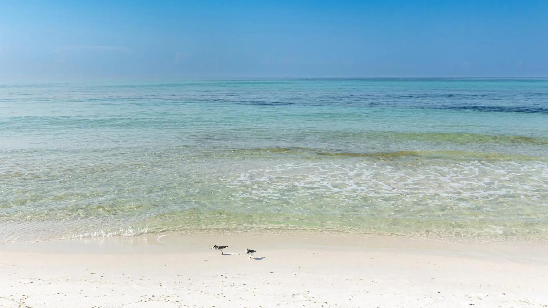 Inlet Reef 205- By Holiday Isle Properties Destin Apartment